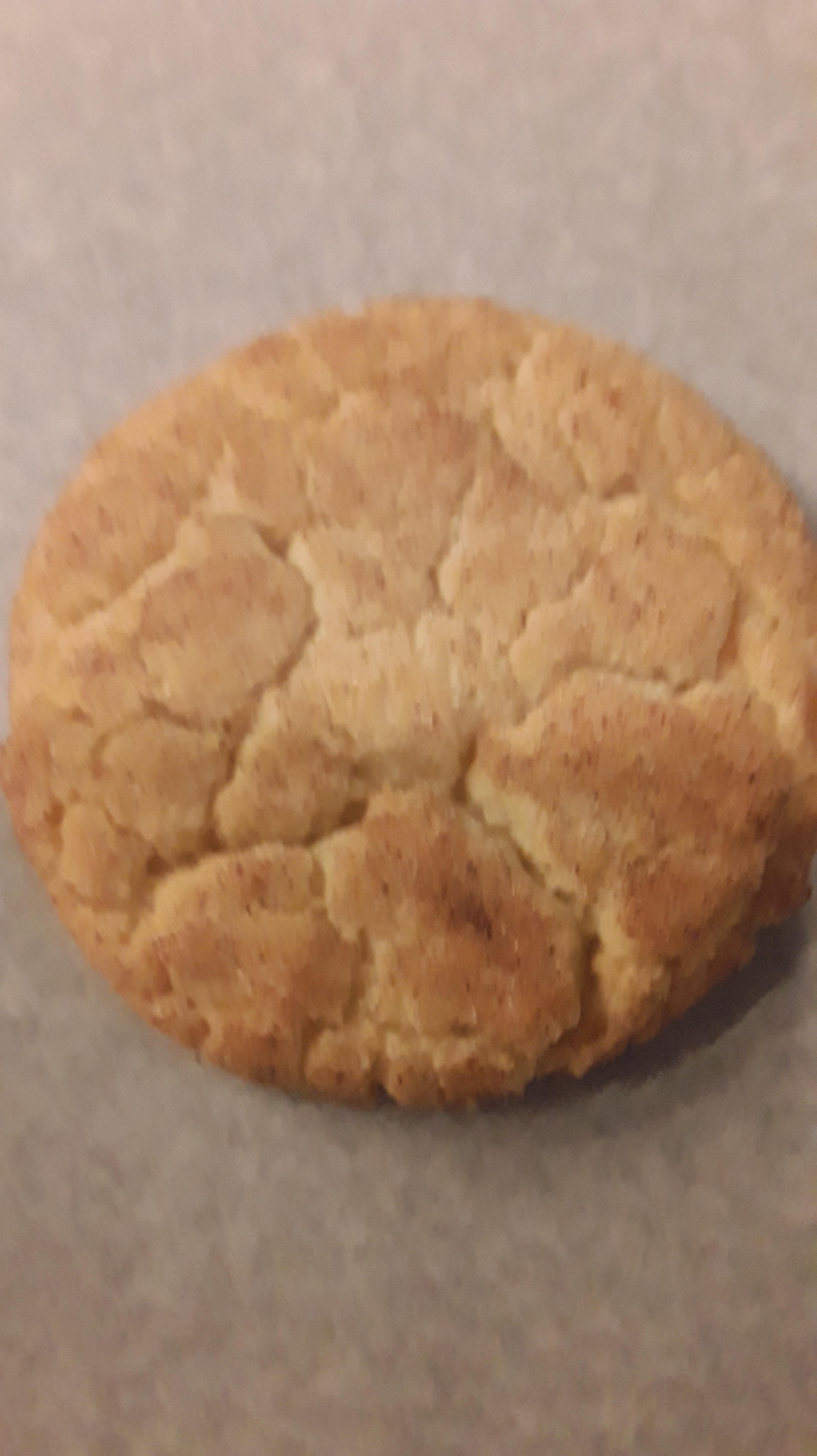 Snickerdoodle Cookie